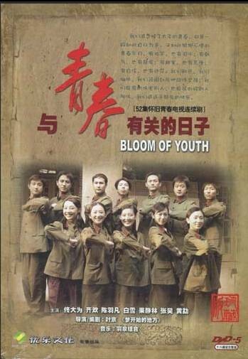 与青春有关的日子(2006年叶京执导的年代电视剧)