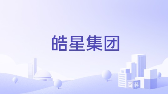 皓星集团