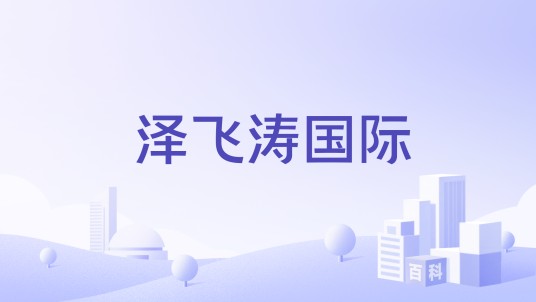 泽飞涛国际