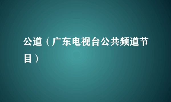 公道（广东电视台公共频道节目）