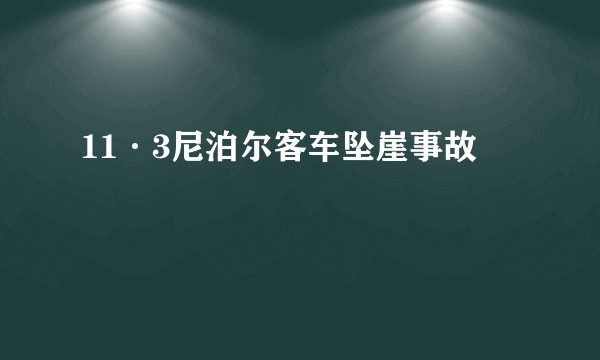 11·3尼泊尔客车坠崖事故