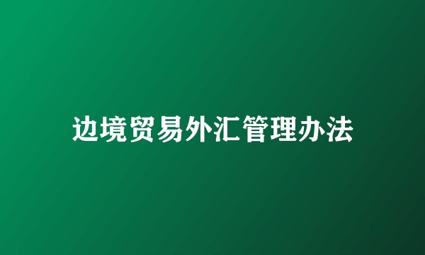 边境贸易外汇管理办法