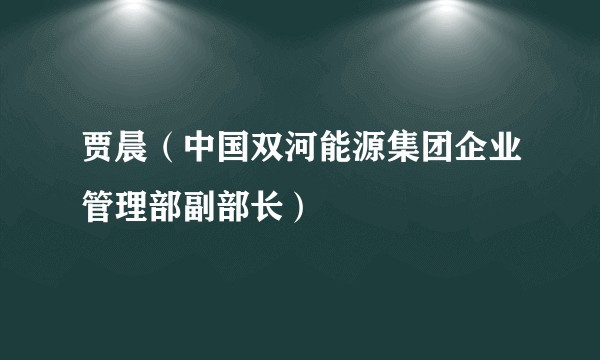 贾晨（中国双河能源集团企业管理部副部长）