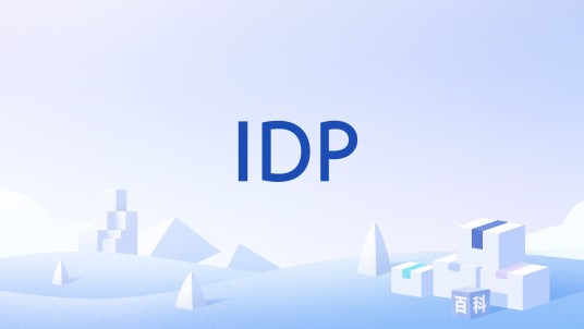 IDP（入侵侦测防御系统）