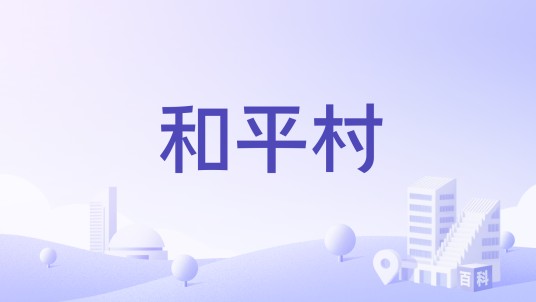 和平村（云南省大理州云龙县诺邓镇下辖村）