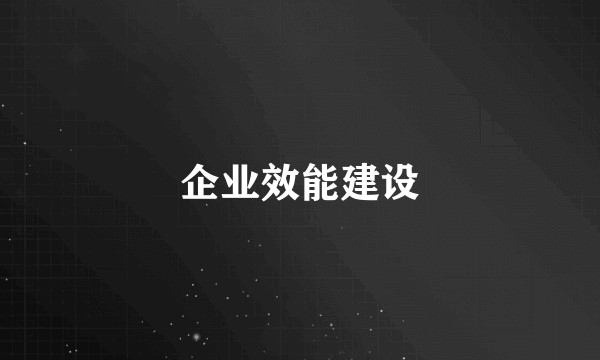 企业效能建设
