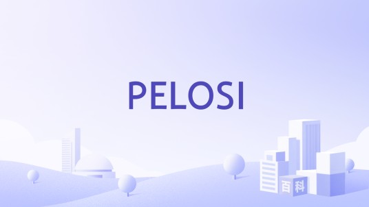 PELOSI