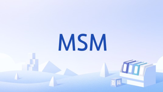 MSM（管理学硕士）