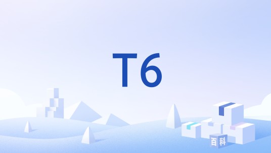 T6（安全操作系统软件）