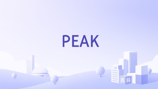 PEAK（德国PEAK-System公司）