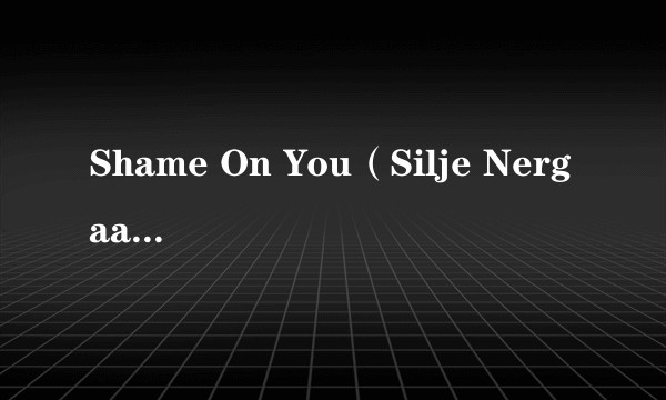 Shame On You（Silje Nergaard演唱的歌曲）