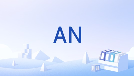 AN（荷兰属地域名）