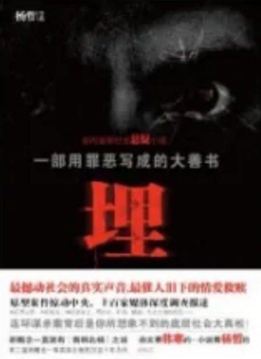 埋（杨哲创作图书）