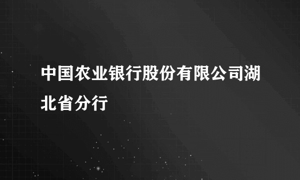 中国农业银行股份有限公司湖北省分行