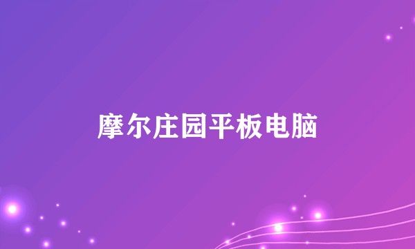 摩尔庄园平板电脑