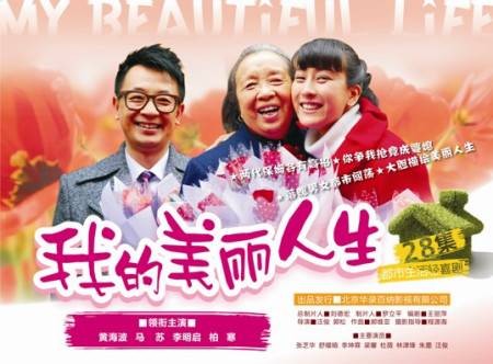 我的美丽人生(2010年汪俊执导的电视剧)
