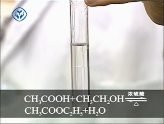 乙酸乙酯