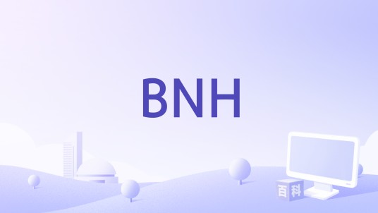 BNH（The Brand New Heavies演唱的歌曲）