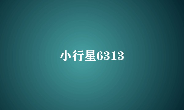 小行星6313