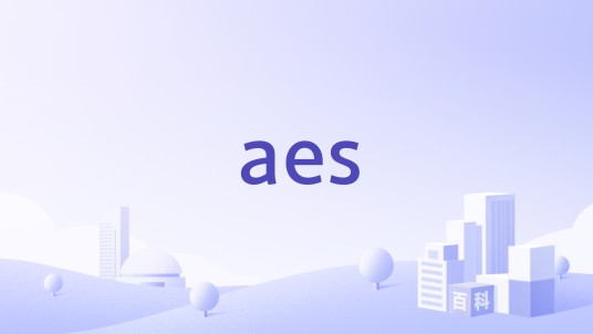 aes（美国爱依斯电力公司）