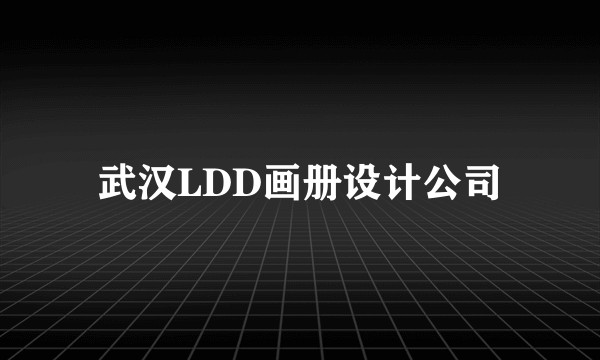 武汉LDD画册设计公司