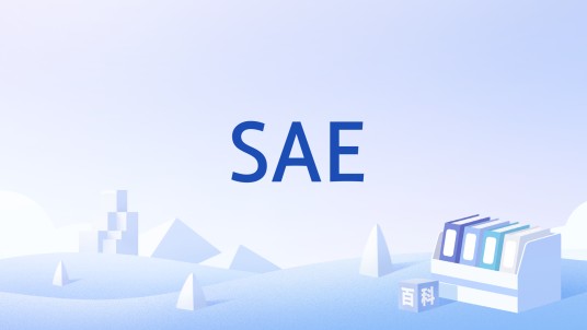 SAE（系统架构演进）