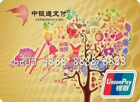 中银通支付卡