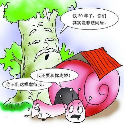 非法同居（法律术语）