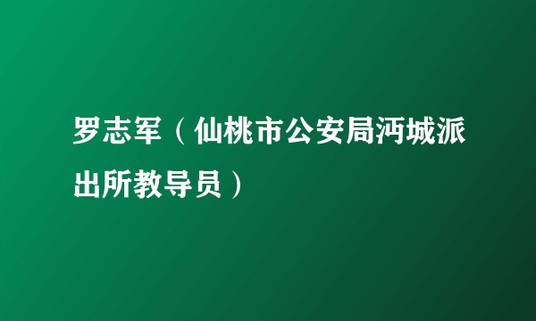 罗志军（仙桃市公安局沔城派出所教导员）