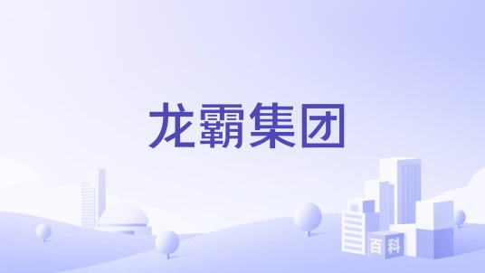 龙霸集团
