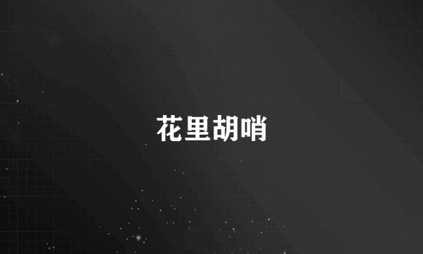花里胡哨