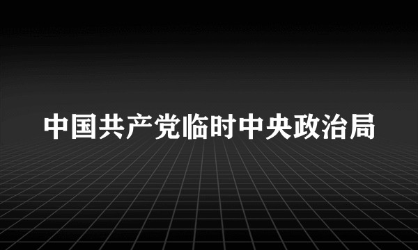 中国共产党临时中央政治局
