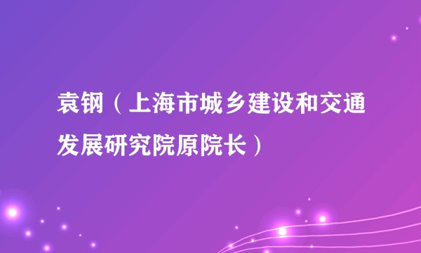 袁钢（上海市城乡建设和交通发展研究院原院长）