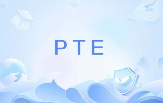 PTE(页表条目)