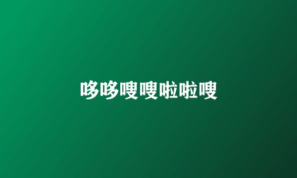 哆哆嗖嗖啦啦嗖