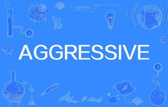 AGGRESSIVE（2008年韩国歌手BoA演唱的歌曲）