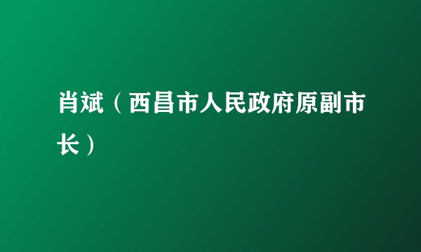 肖斌（西昌市人民政府原副市长）