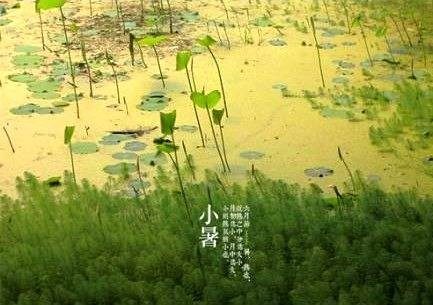 小暑（二十四节气之一）