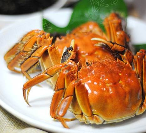清蒸大闸蟹