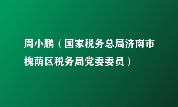 周小鹏（国家税务总局济南市槐荫区税务局党委委员）