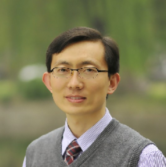 张宏伟（哈尔滨工业大学（深圳）教授）
