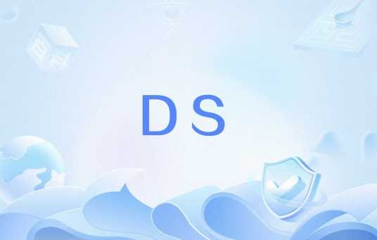 DS（计算机网络术语）