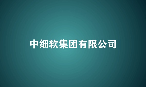 中细软集团有限公司