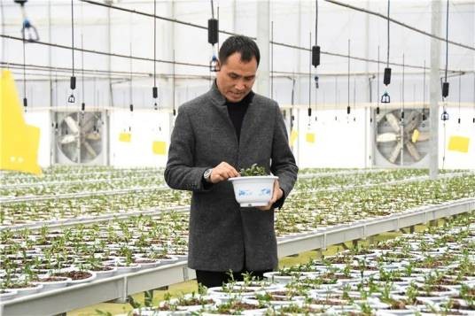 朱卫东（浙江寿仙谷医药股份有限公司农艺师）