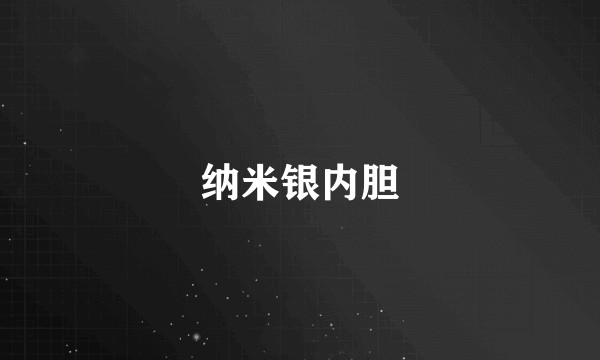 纳米银内胆