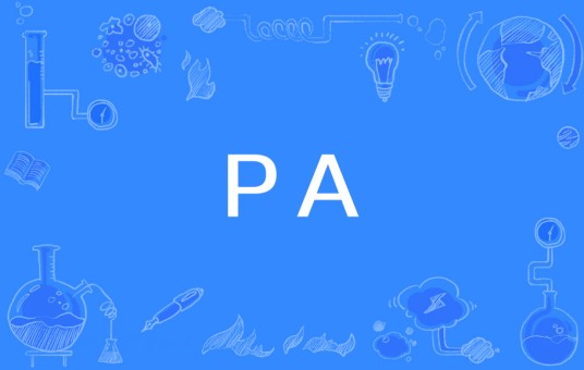 PA（开放式数控系统）