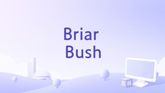 Briar Bush