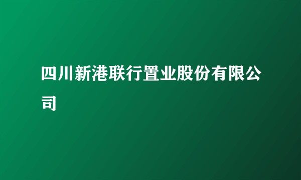 四川新港联行置业股份有限公司
