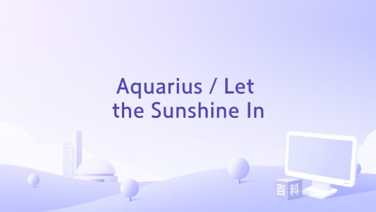 Aquarius / Let the Sunshine In（The Hit Co.演唱的歌曲）