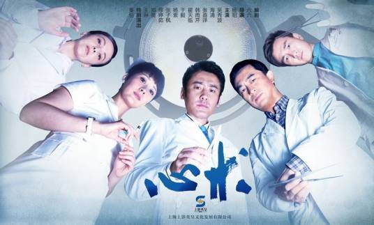 心术（2012年杨阳执导的爱情剧）